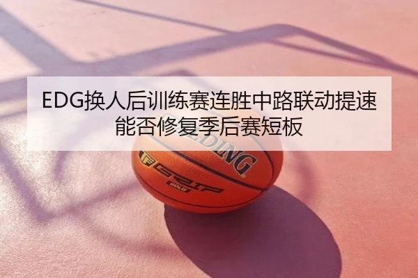 EDG换人后训练赛连胜中路联动提速能否修复季后赛短板